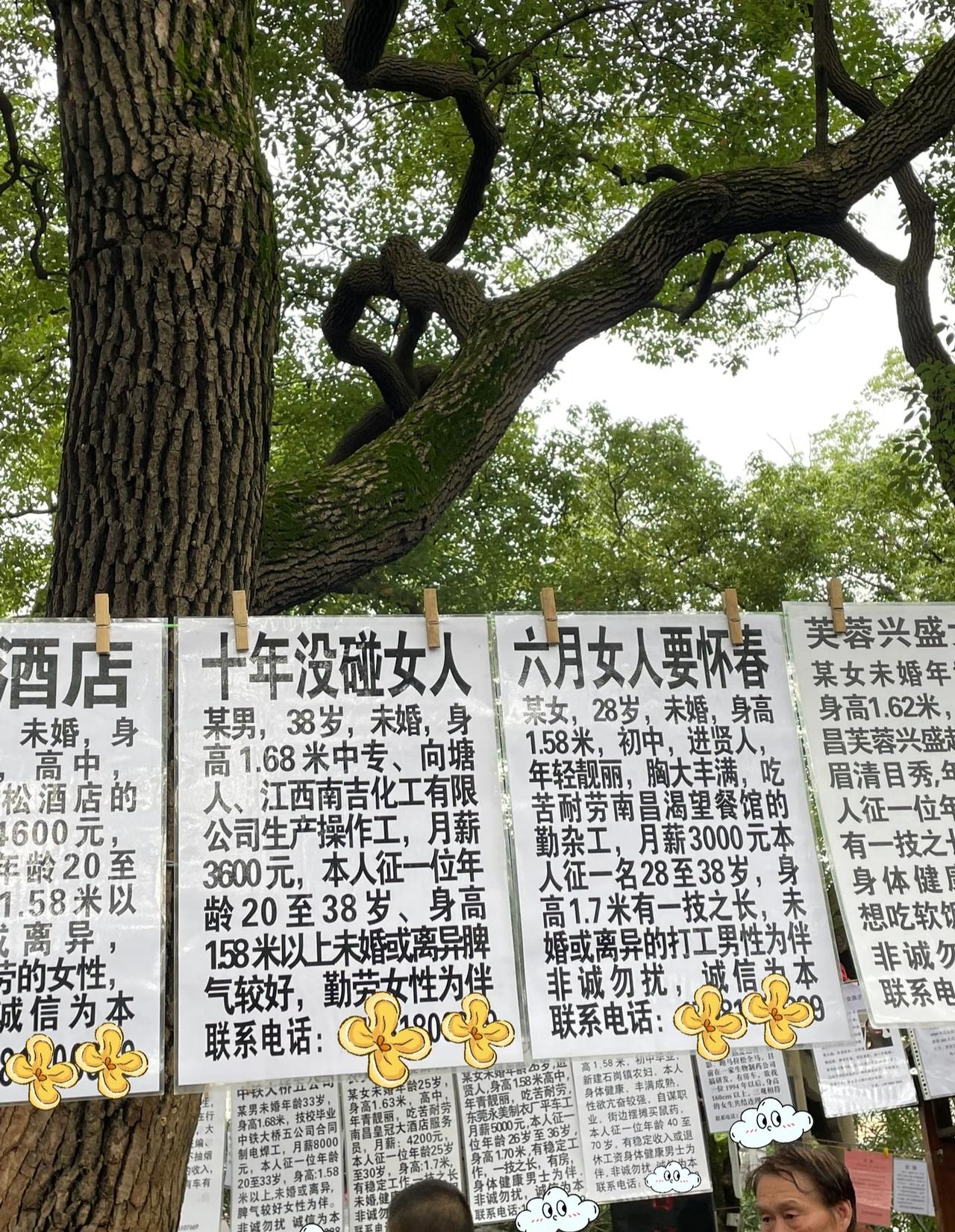 相亲角？这分明是人才角呀！
每次去公园溜达，
都喜欢去相亲角待一会儿。
没别的意