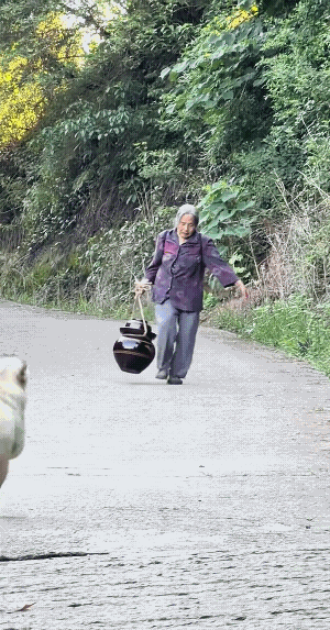 狗狗看到奶奶提着坛子，赶紧跑过去帮忙，奶奶一想到这是易碎品，赶忙拦住狗狗。可面对