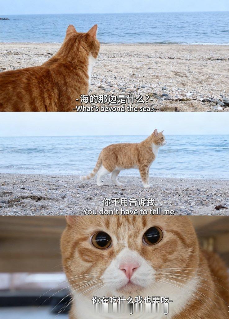 分享图片 ​​​