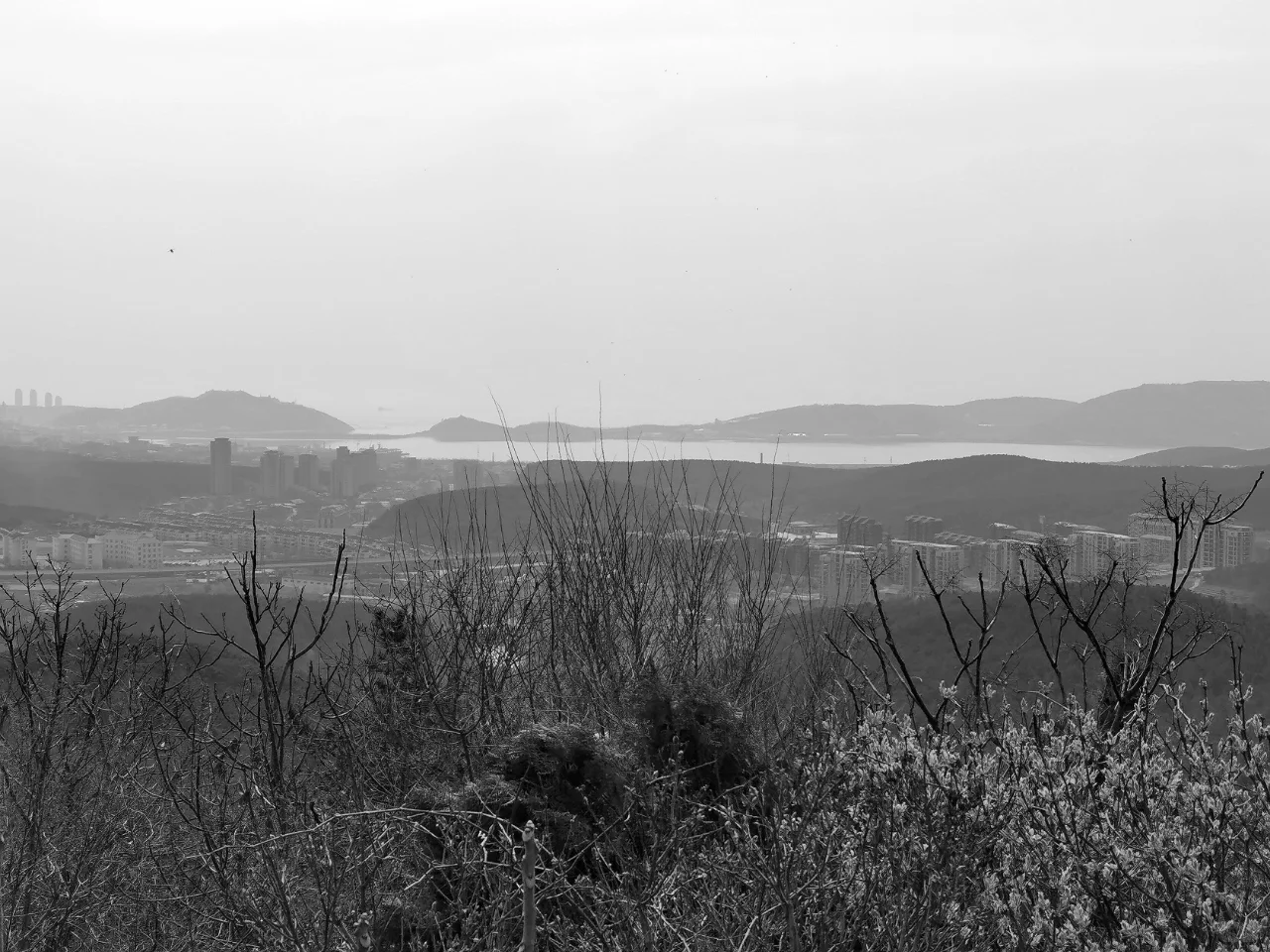 磨牙吮血的旅顺口