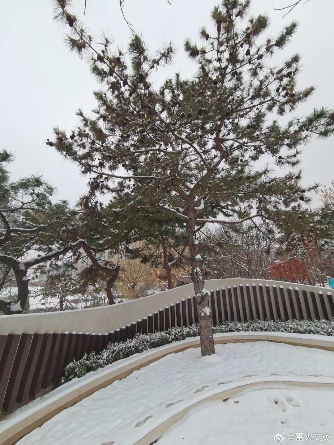 天寒地冻，大雪纷飞，这么寒冷的天气，艾灸做起来，以热驱寒。 ​​​
