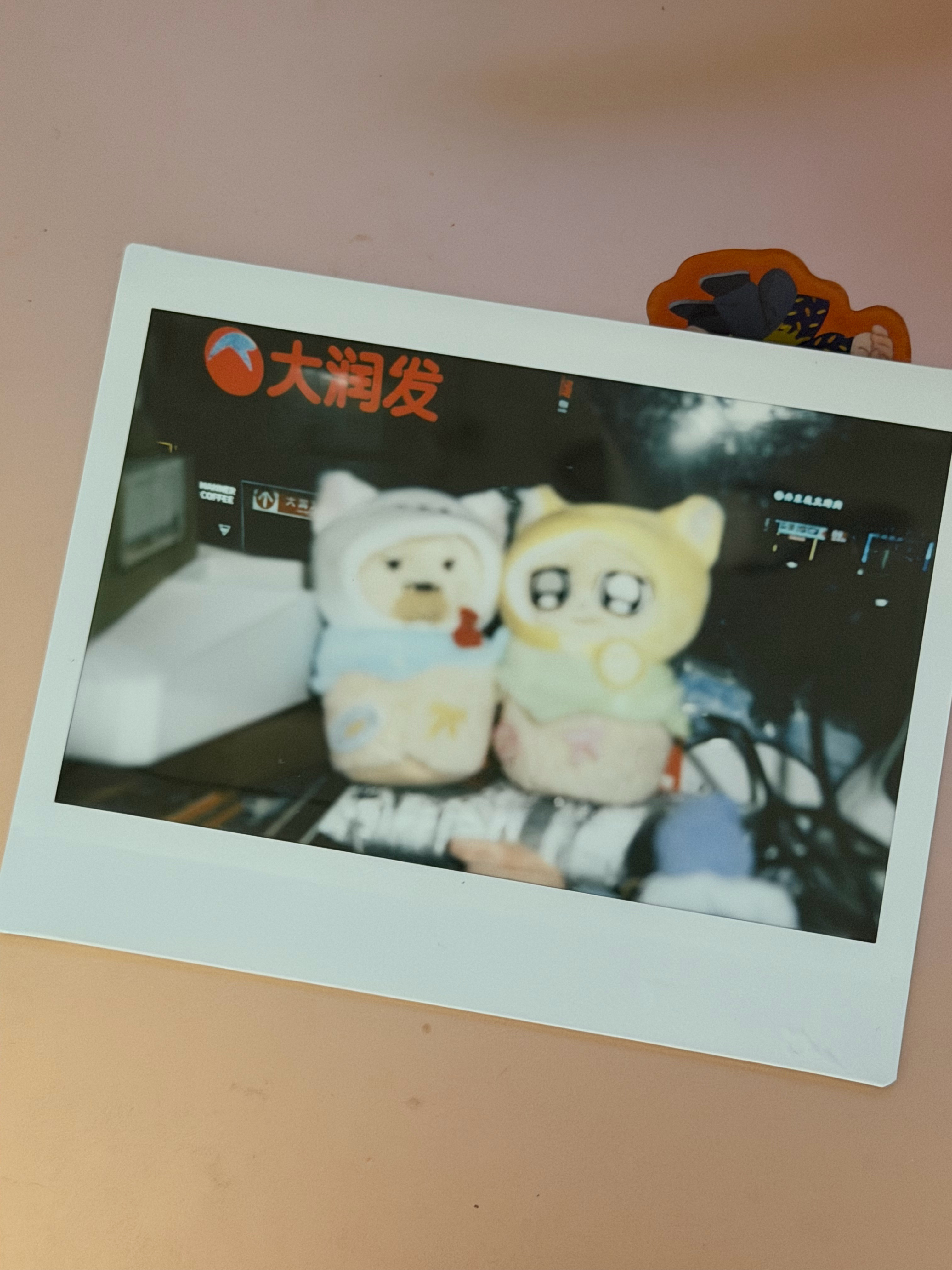 猫狗与超市合影一张 