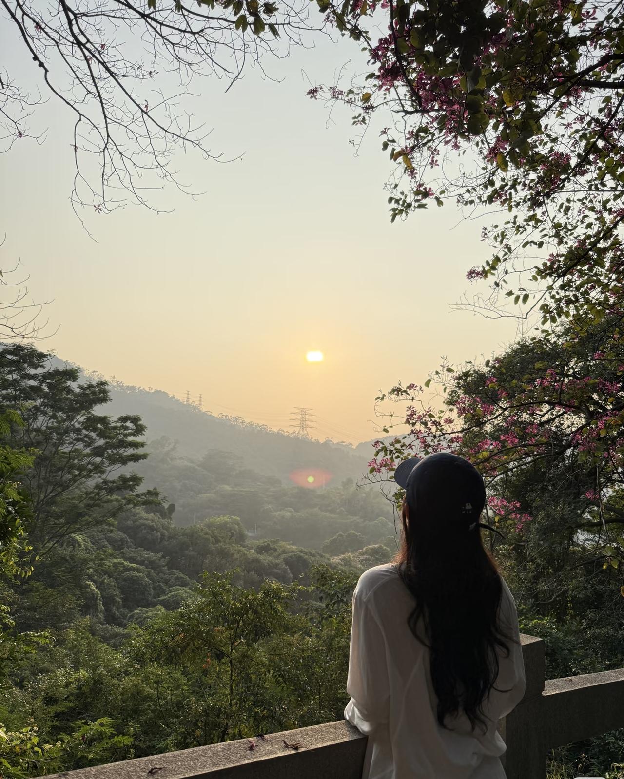 老公执意要收养大姑姐的孩子，妻子不同意，竟被丈夫一句“这个家没有你说话的份儿”狠