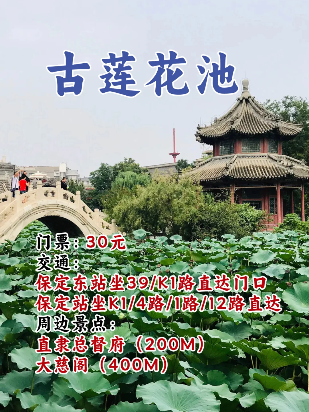 秋日暖阳里的莲池书院