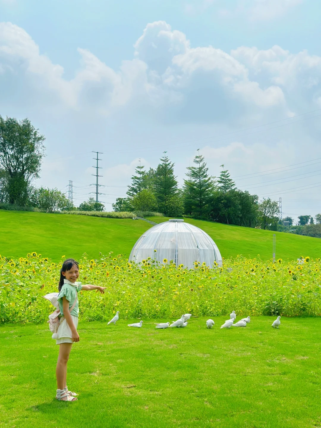 宫崎骏同款大草坪免费露营地🏕️玩水喂白鸽
