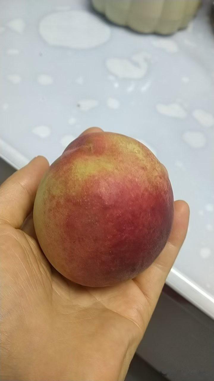 善良从来不是一时兴起，而是长久的包容与心软，愿世间所有温柔，都能双向奔赴。