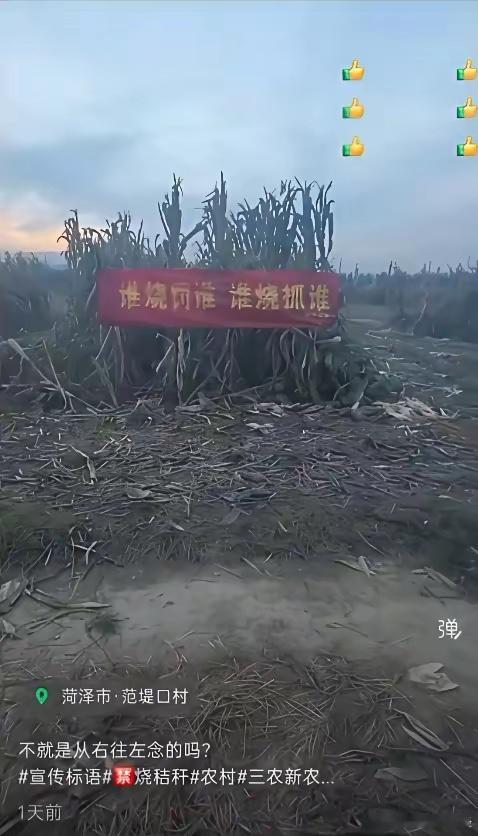 这个标语倒着念就舒服多了！ ​​​