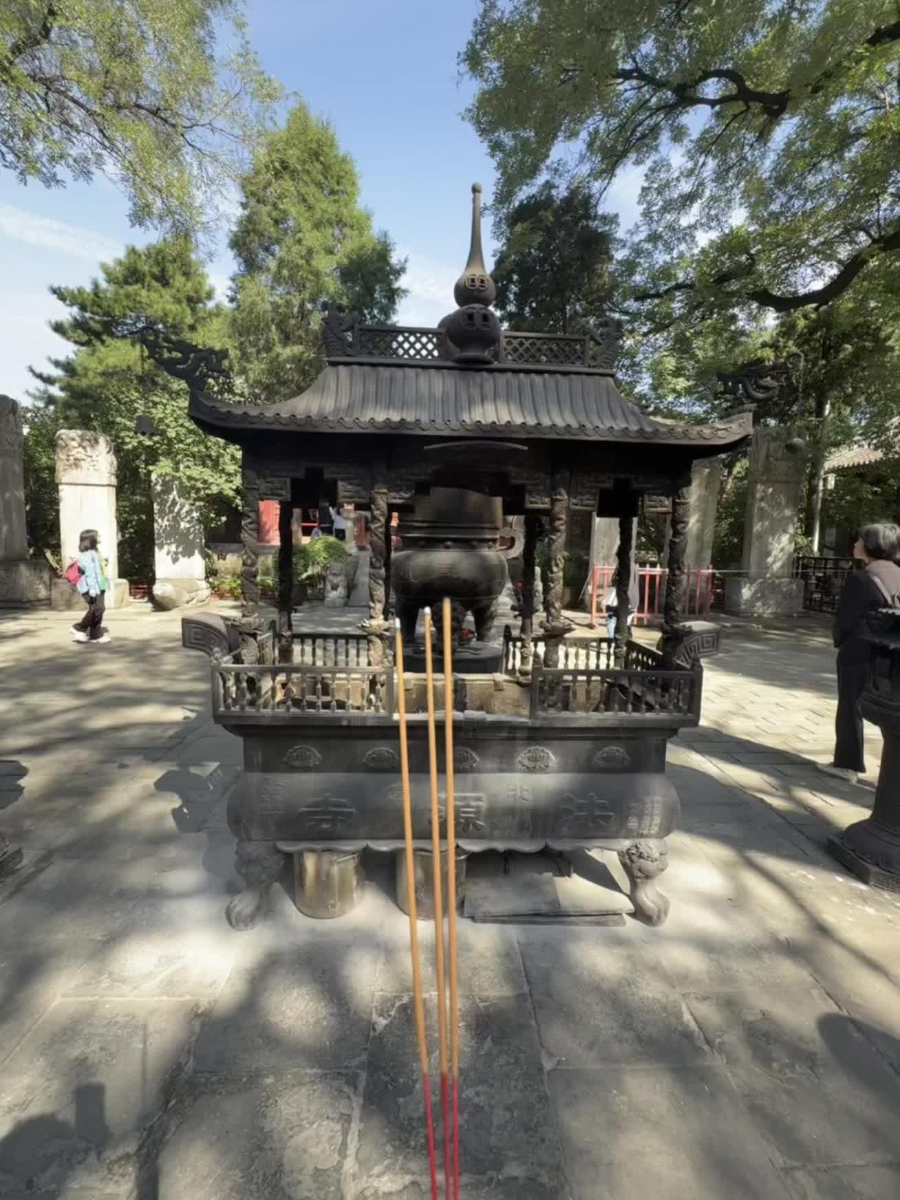 希望你早日走出轮回