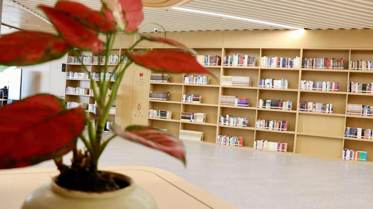 书的本质，是一场“借命”的修行。我的足迹地图 它是世上最便宜的灵魂移植——花几十