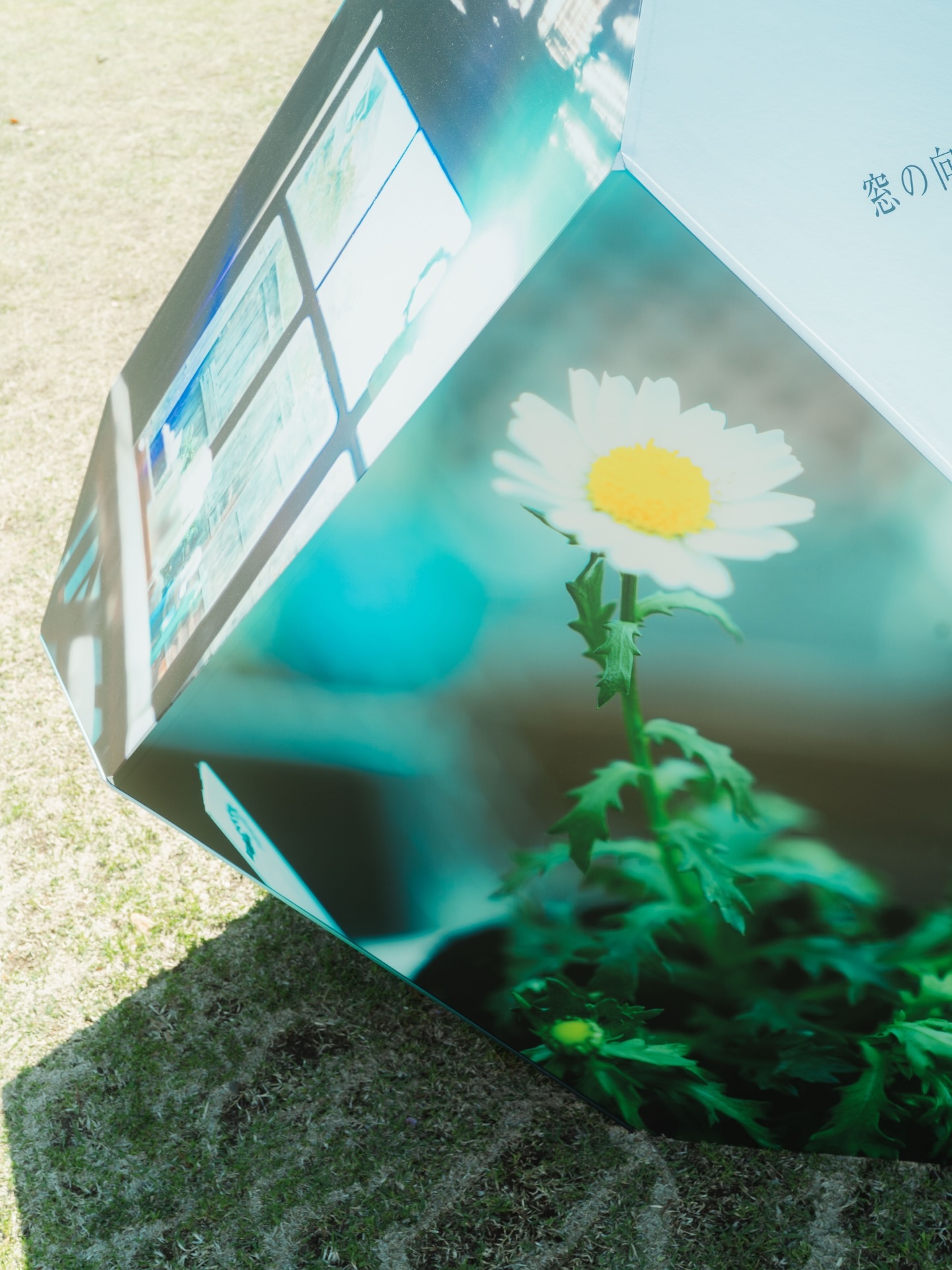 金村美玖🍣mikugram