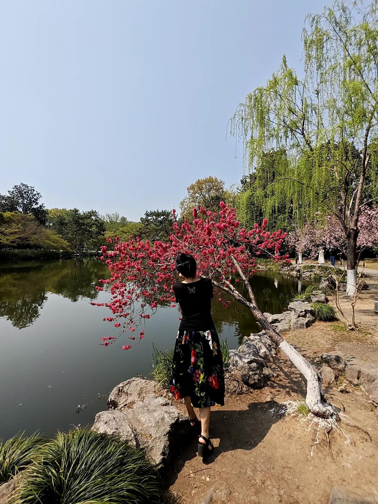 杭州最不缺乏的就是花花草草，杭州一年四季都有鲜花盛开。冬天有腊梅花、夏天有荷花、