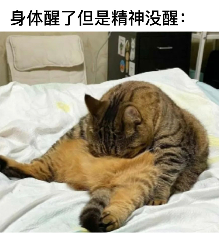 还好我已经放假了#今日memes# //#龙年造梗大赛# ​​​