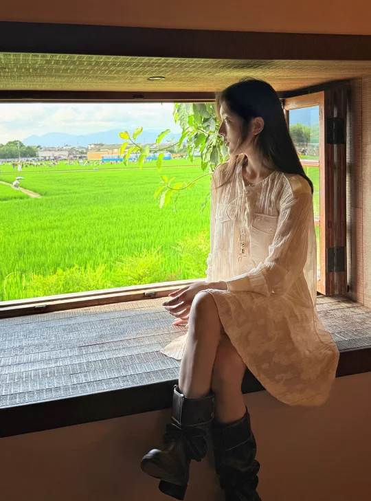在有风的田野里 🍃🍀🌱