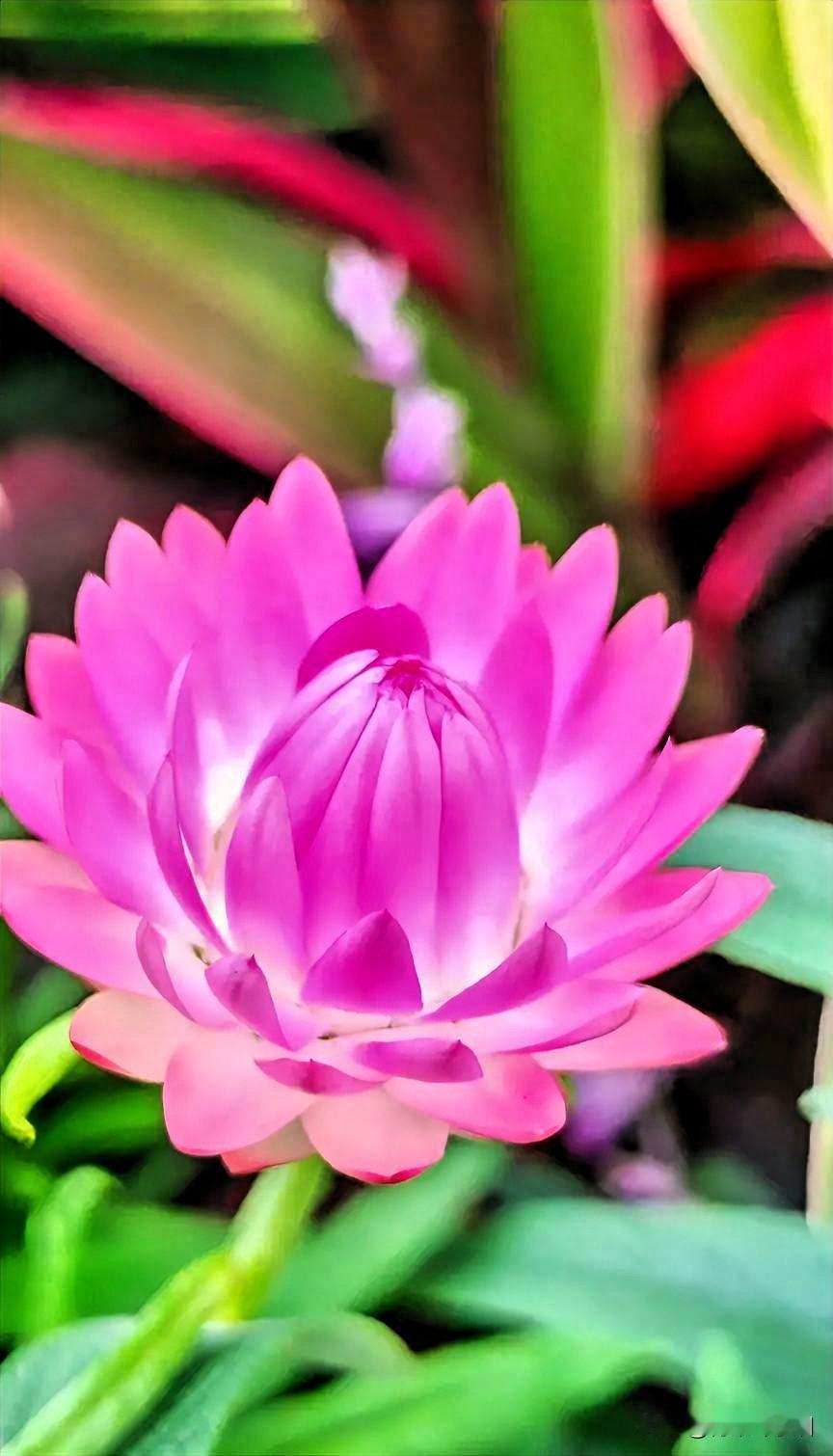 人到中年

不管是男女

健康是首位

健康是福

没有健康什么也不是

尤其是