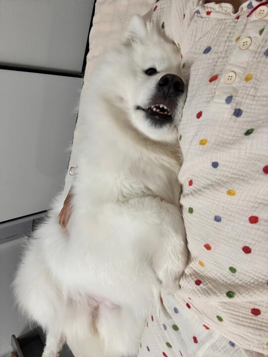 难道她真的知道自己是一个宝宝？