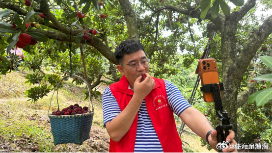 临海供销跑村打通山货出村共富通道从田间地头到消费餐桌，从零散种植到品牌出圈，临海