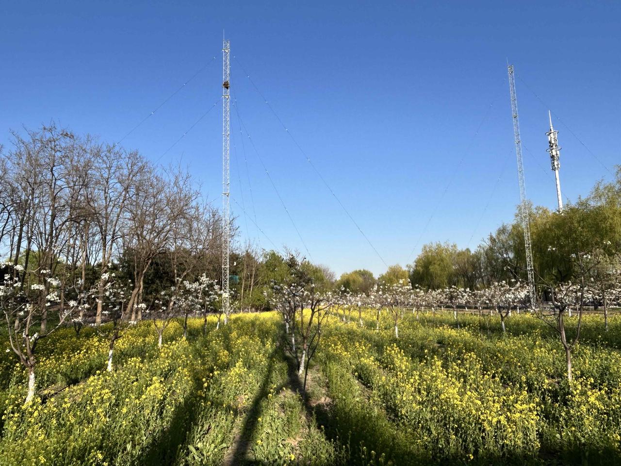 在自家小区倒车入库时，如果不小心刮蹭到邻车，即使很轻微也不要抱着侥幸心理一走了之