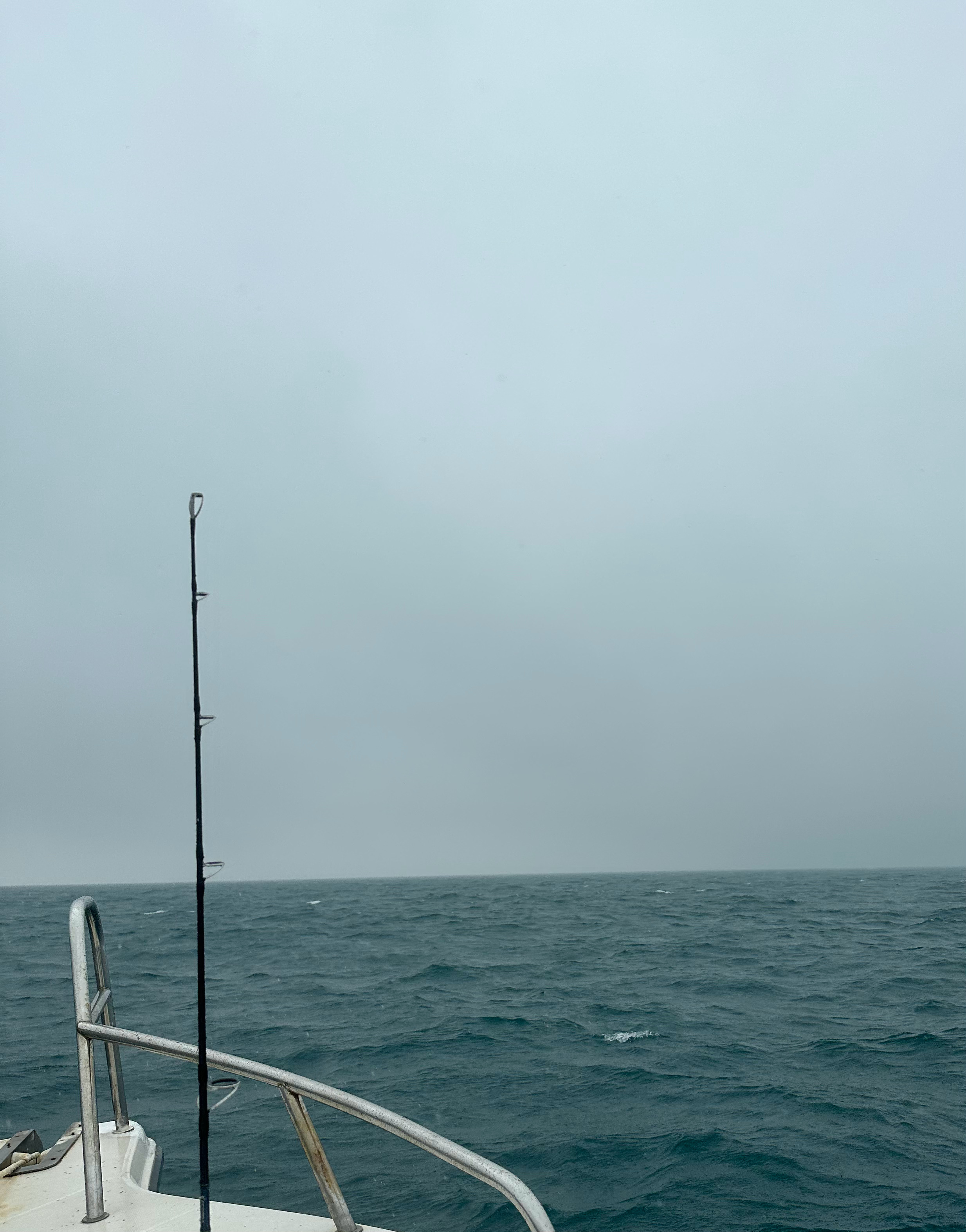 前段时间不信邪，顶着大风浪出了趟略远的海域钓鱼，在船上站都站不稳，更别提摇轮几十