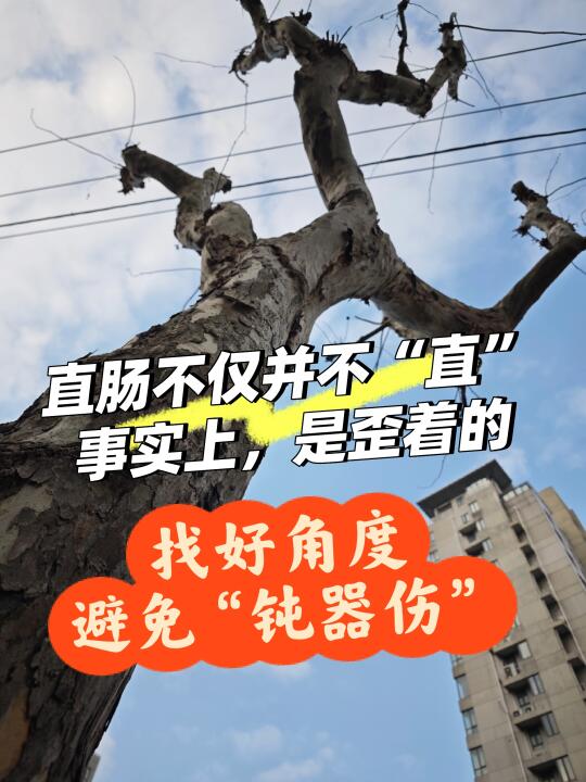 直肠不仅不“直”，事实上是斜着的