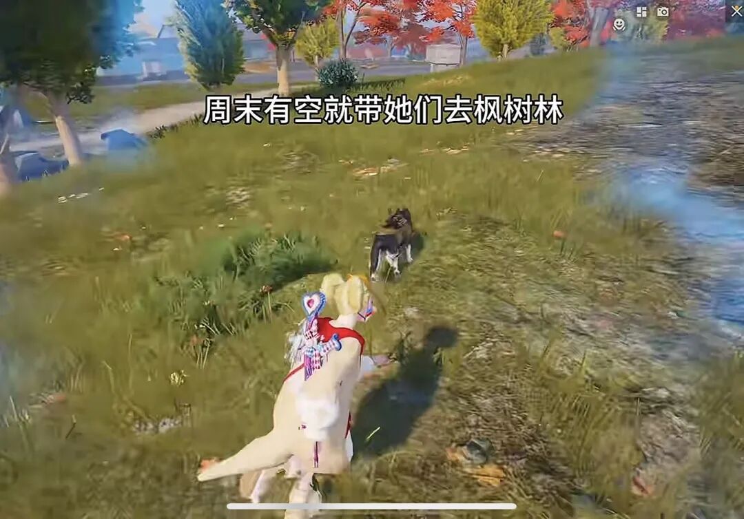 它是腾讯游戏最听话的「狗」