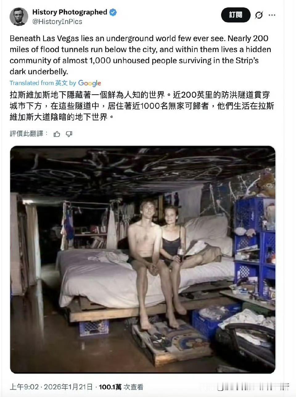 向来以为忍者神龟和斯普林特老师，不过是编出来的动物拟人戏码，龟壳鼠面都是讨巧的设