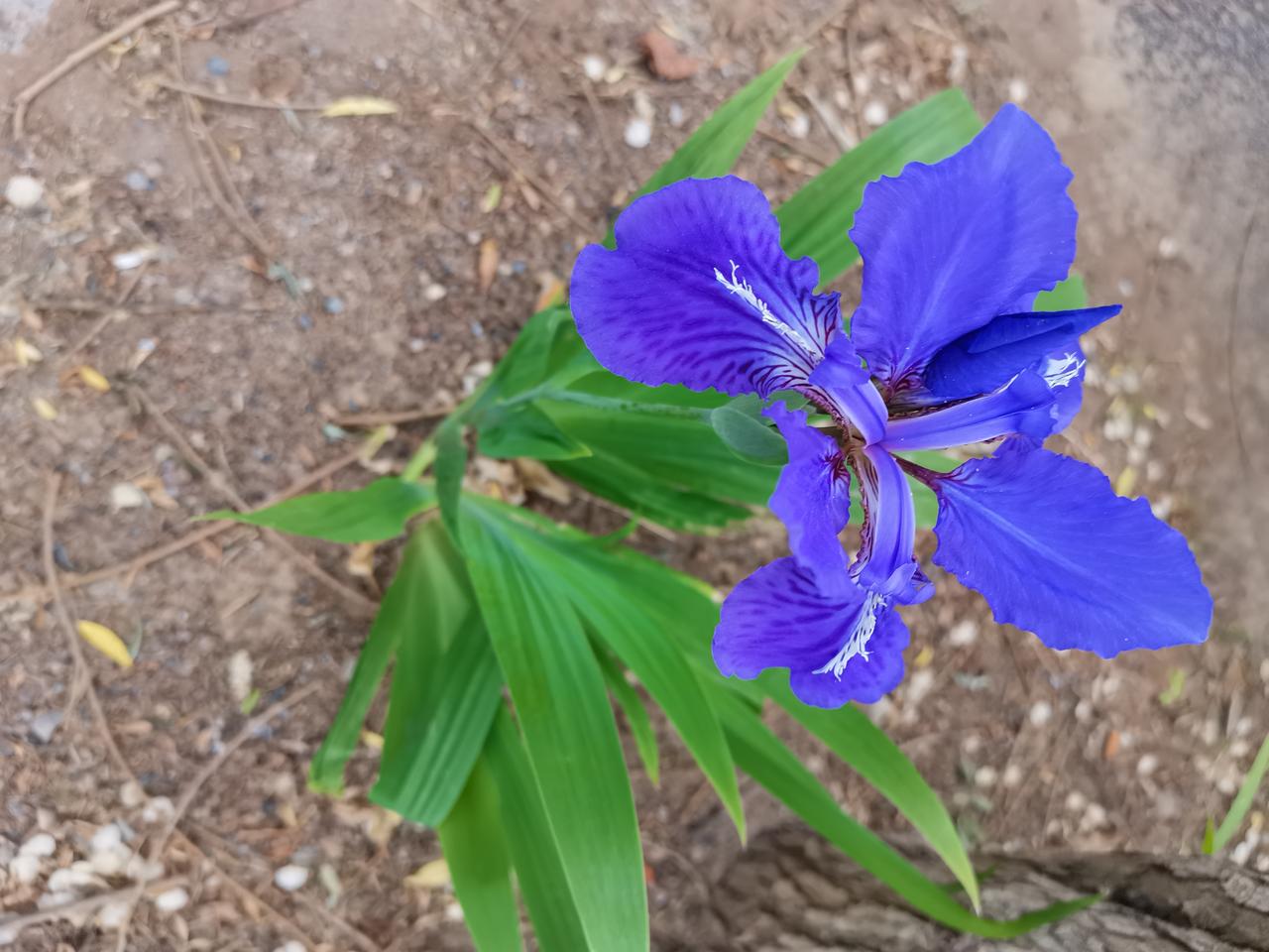 情绪不是你的敌人，它是你内心秩序遭遇侵犯时的报警器。
我发现：在工作中有情绪，很
