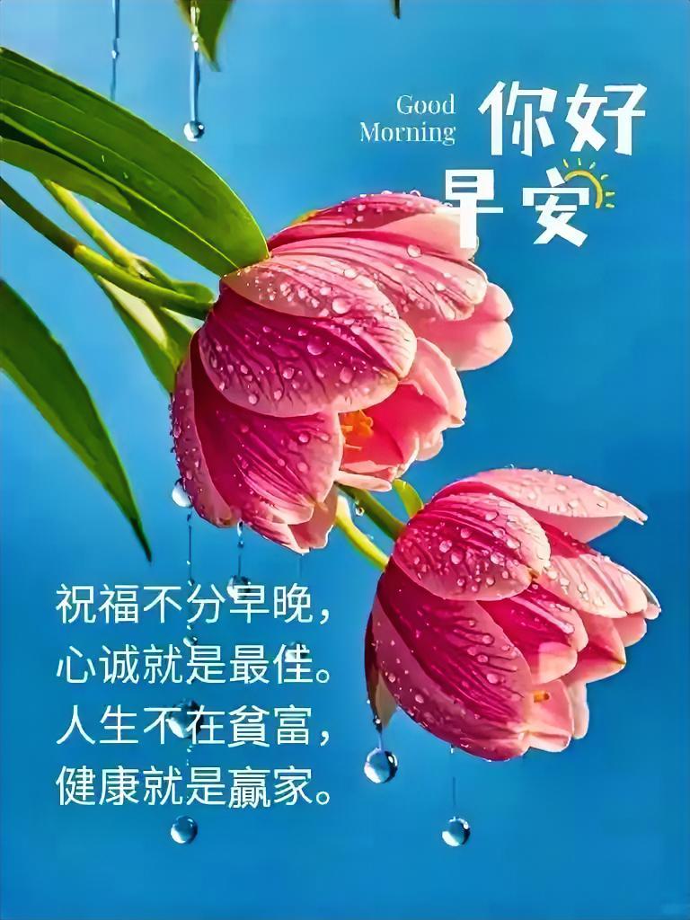 早安！雨后粉花含露笑，心诚祝福最珍贵，健康才是真赢家，美好从清晨开始~
人活着，