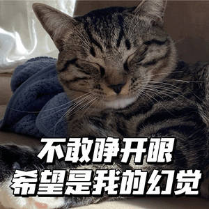 8和飞鱼那个不会吧……我满脑子的口呼吸半裸照