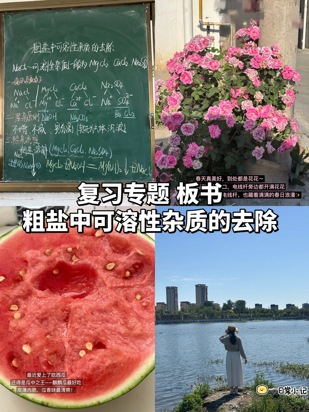 专题复习🌷粗盐中可溶性杂质的去除  板书