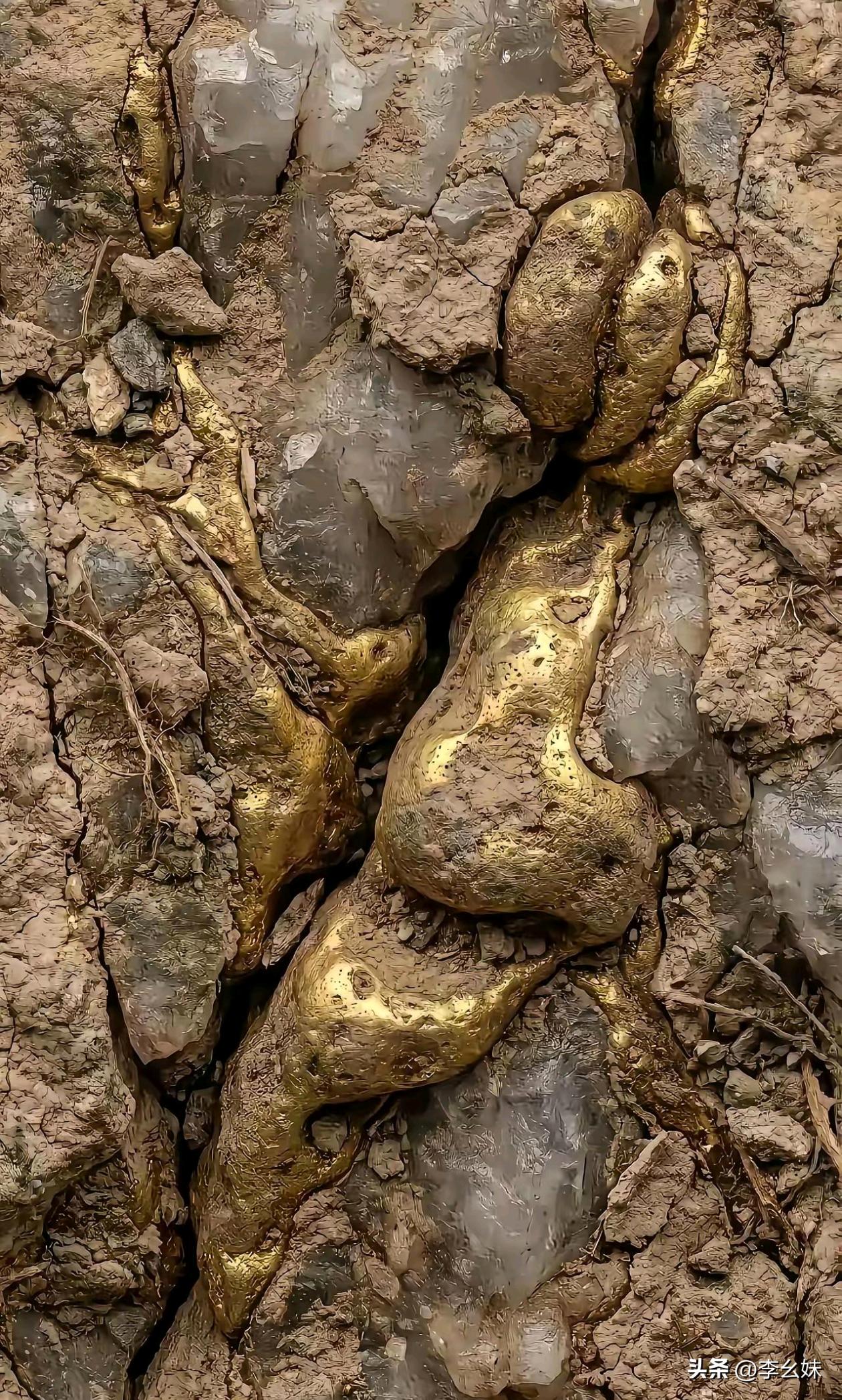 最近压力太大了，看什么都像金子