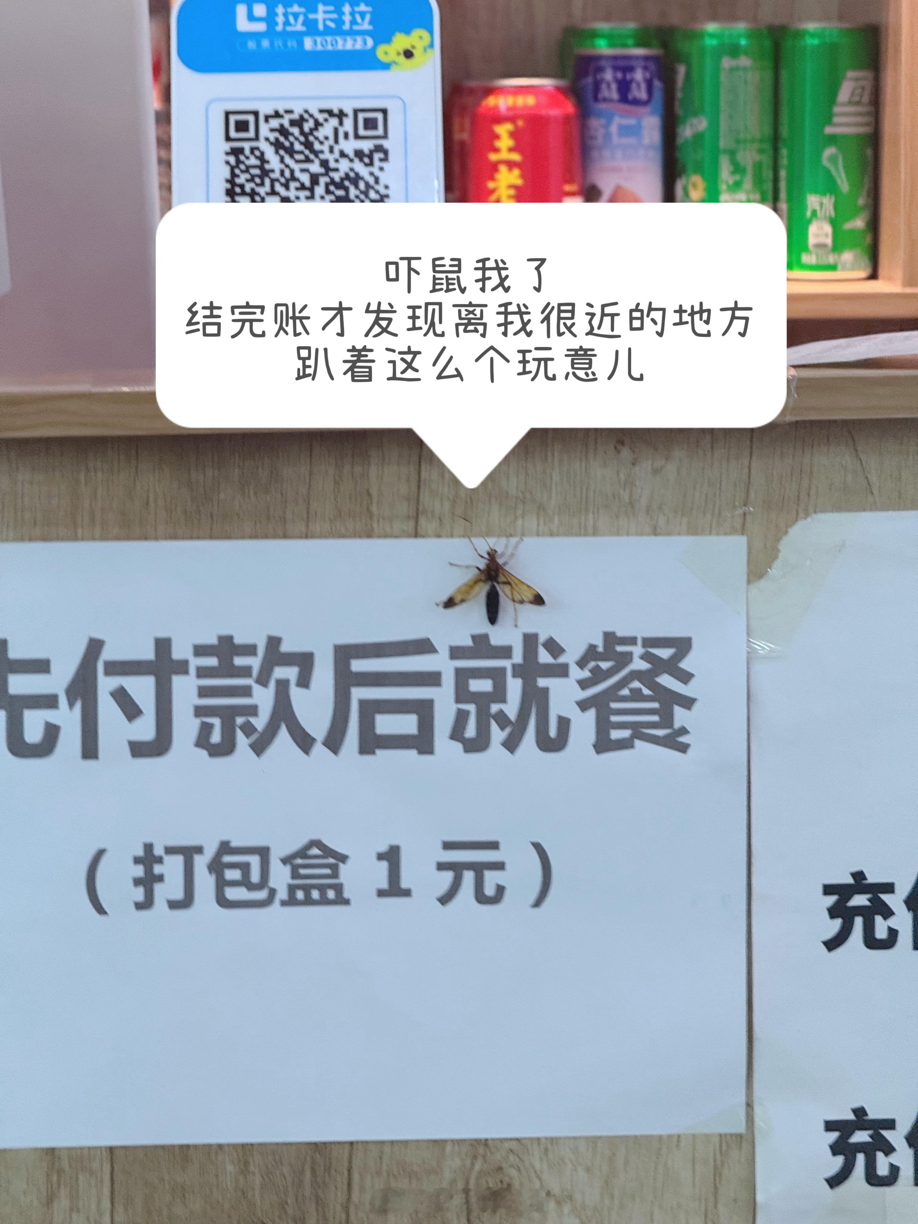这几天🧩我们马上往回走了往后几天妞妞的任务就是抓紧时间补作业这作业怎么咋写都写