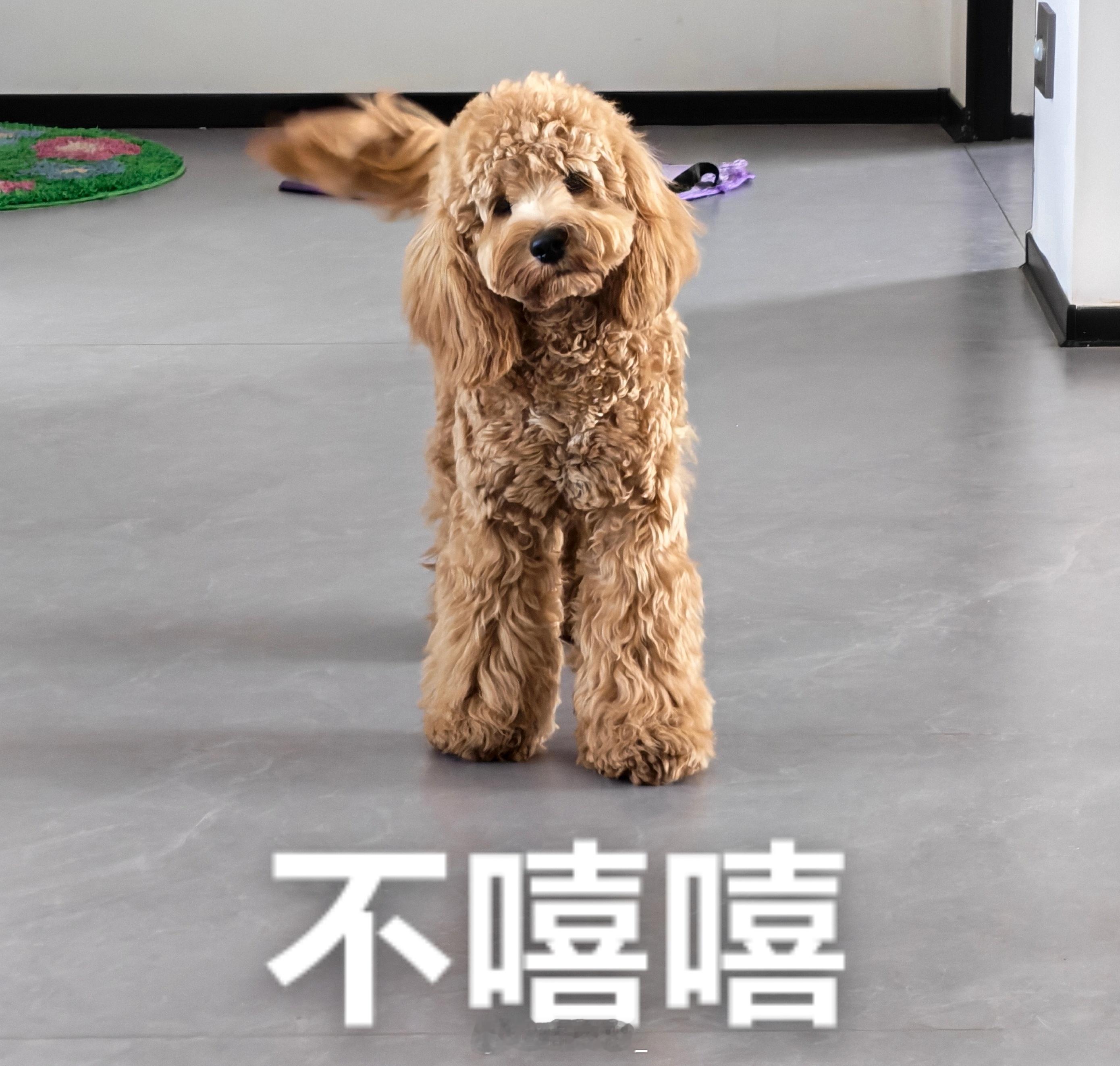 湖北的天气有多烧心还得是GL8，前排4个水杯架，真是太富裕了[哇]​武汉怎么还这