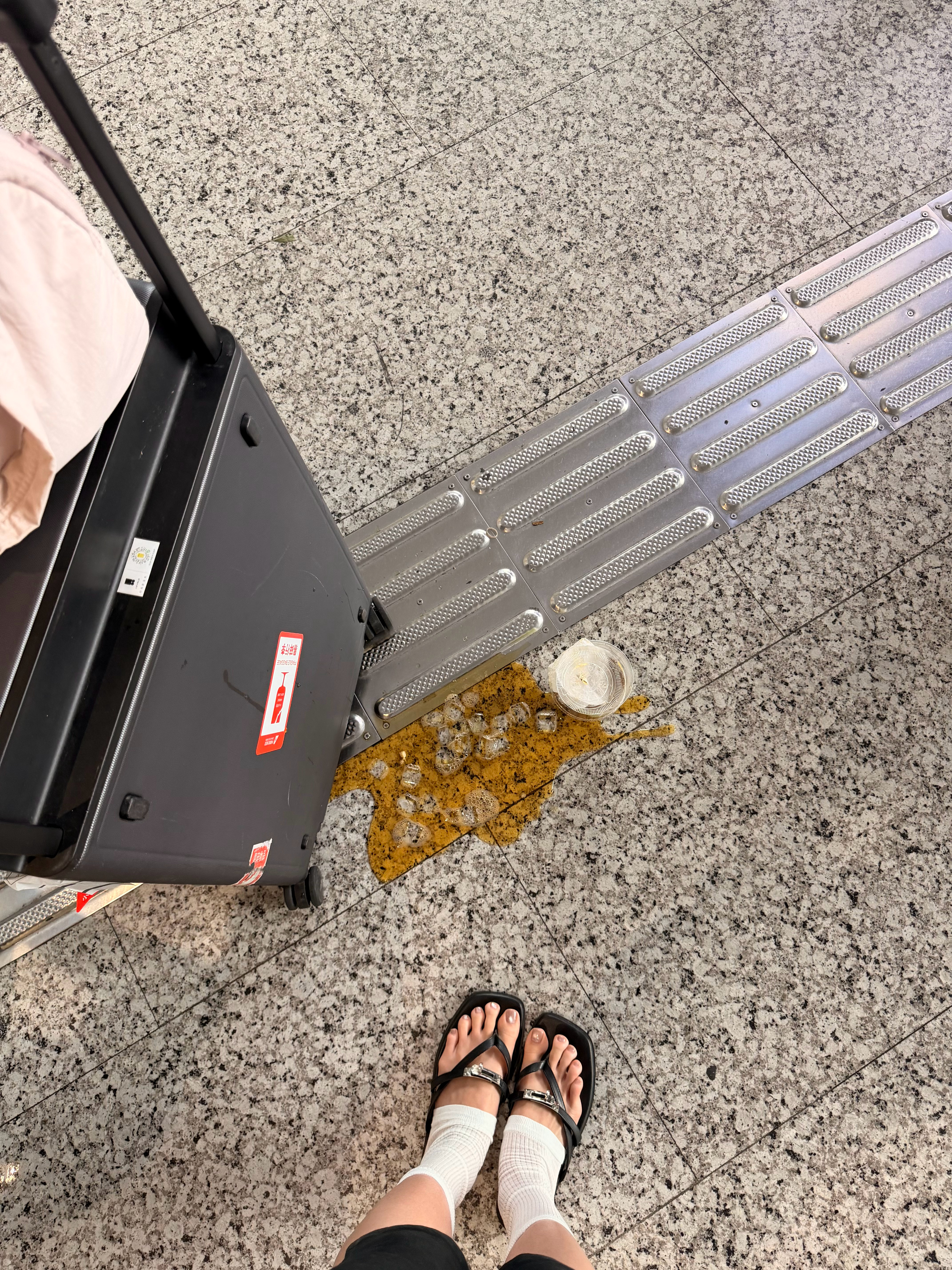 感觉广东的空气都特别亲切