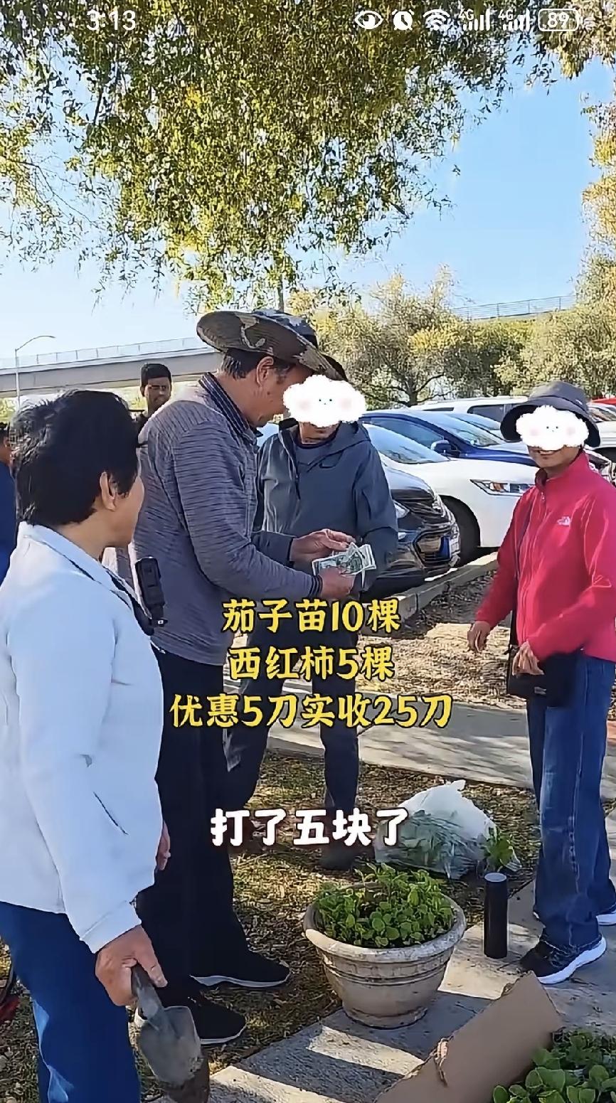 硅谷后院搭起薄膜棚，保安说这算违建，可她种的苗比超市还抢手。
她不是想当农民，就