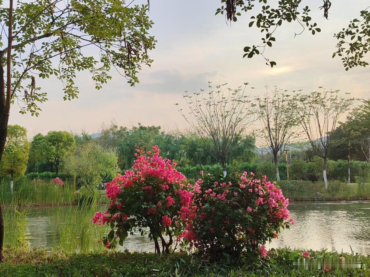 大家发现没有？这两年开始，针对想踏踏实实做事事业（实业）的，可以说这是最好的时代