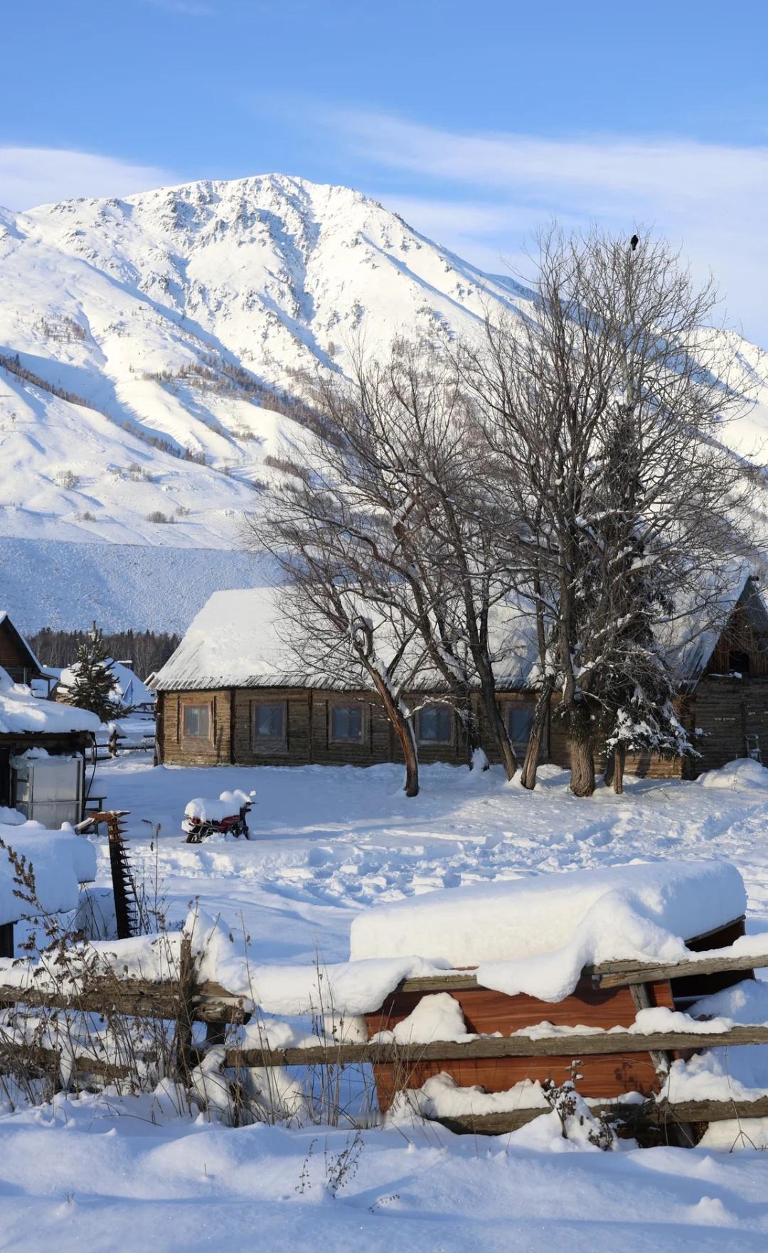 大雪后的禾木25.11.14
今天最低温接近零下三十度了
晚上7点多靠近河边的区