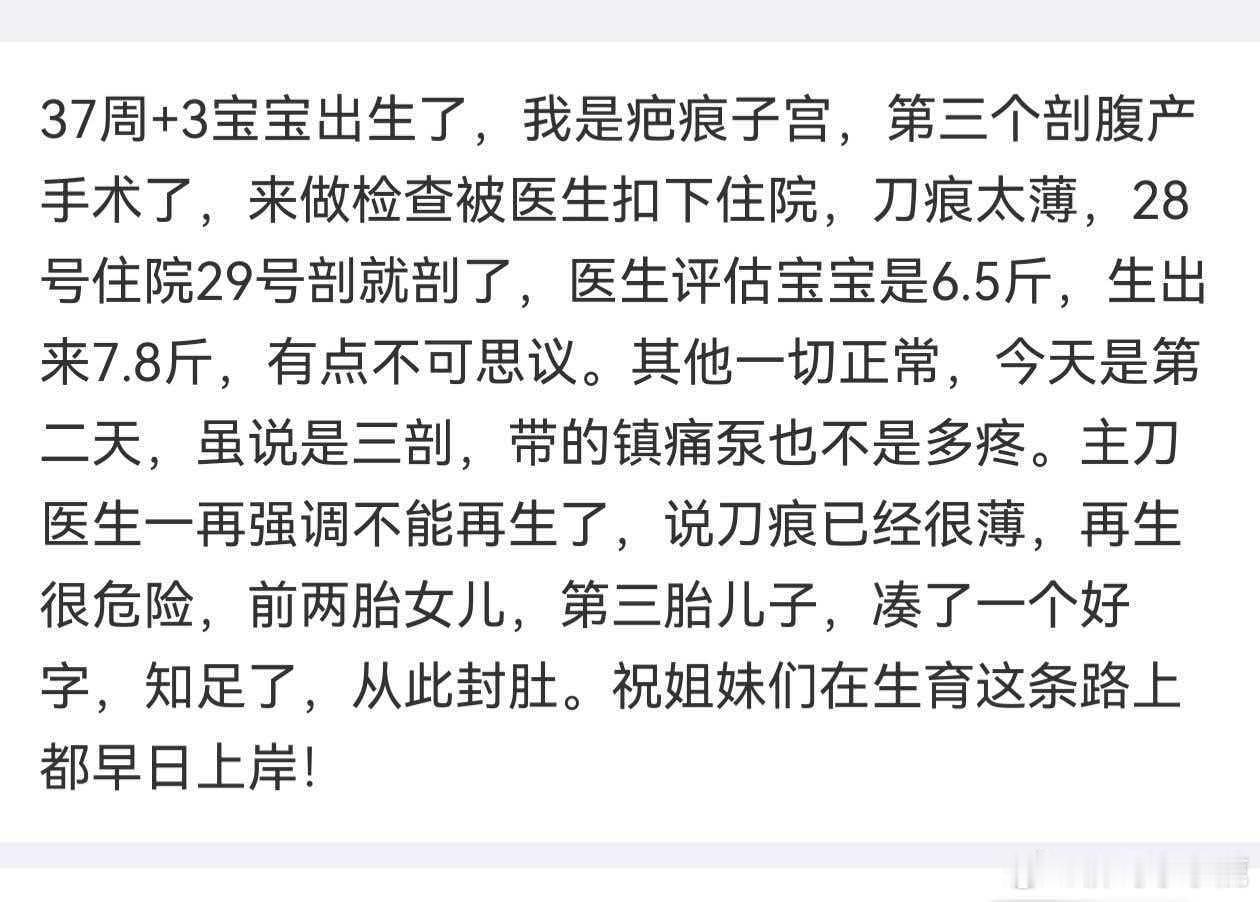 民间艺术观察