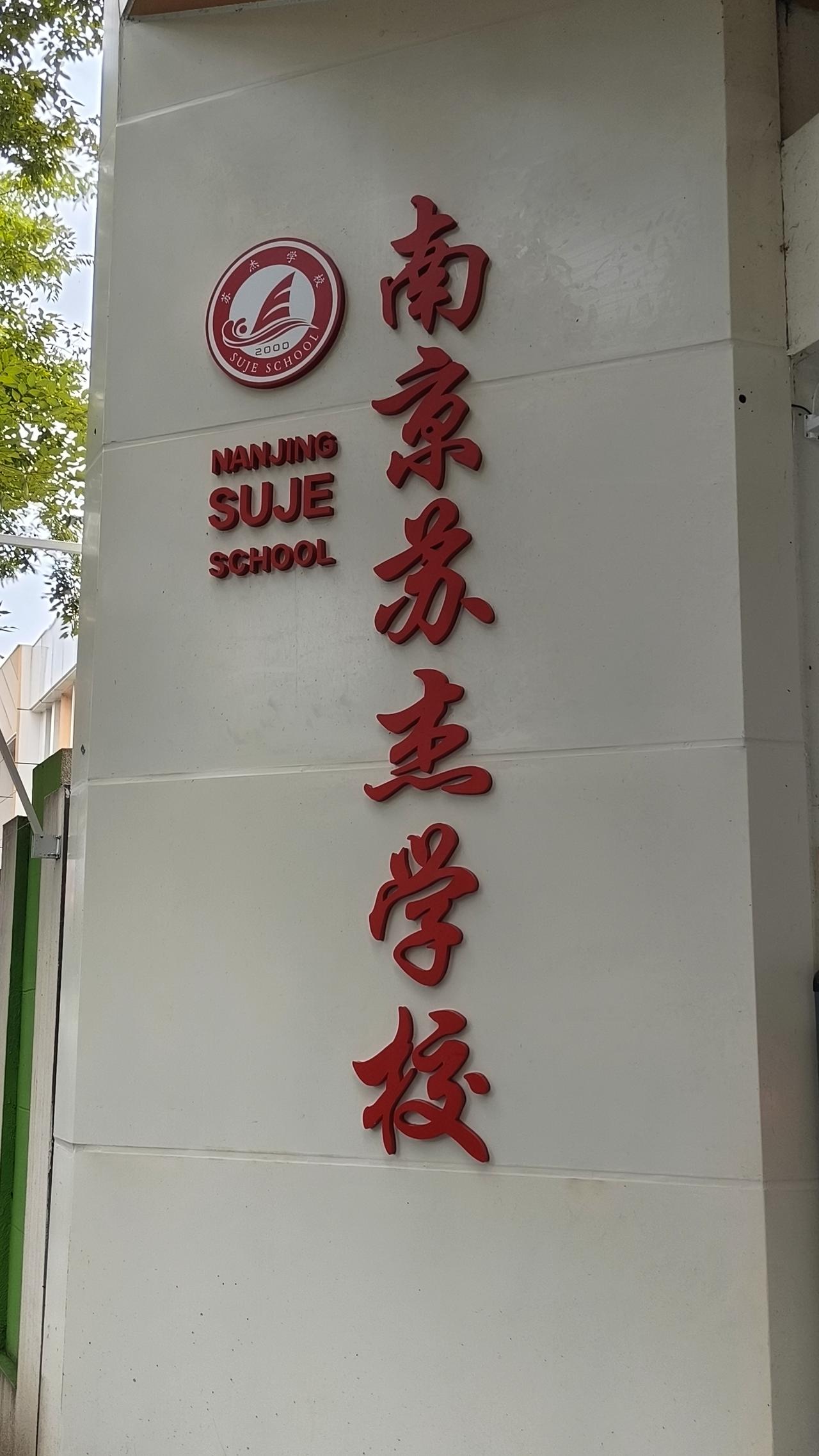 《一所南京民办校圈的头部学校，落地奥南板块，什么样家庭的孩子才能上得起这所学校呢