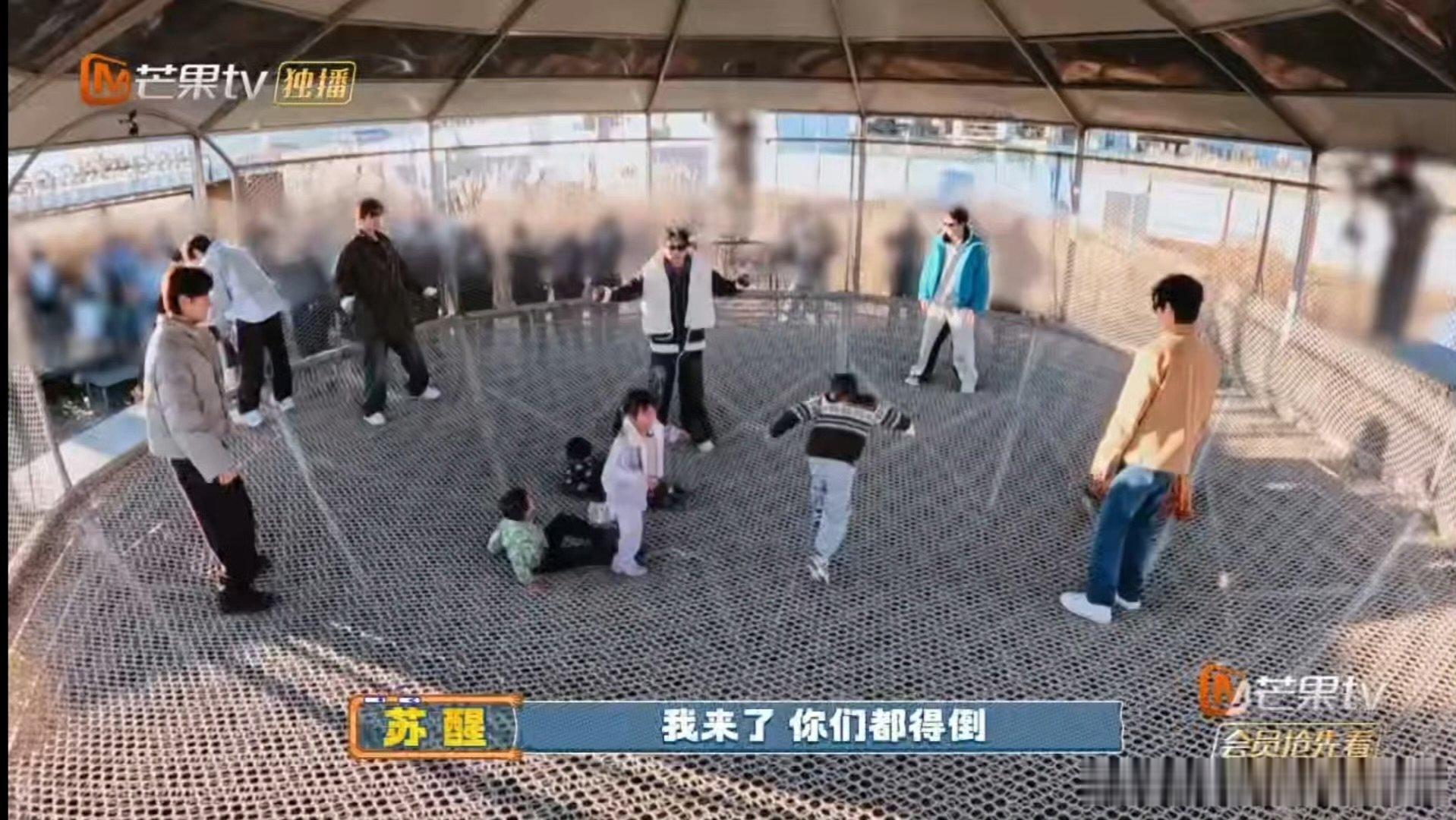 苏醒王栎鑫陆虎一群老小孩快乐老友记 糊糊和猫猫的胜负欲，在蹦床上体现得淋漓尽致 