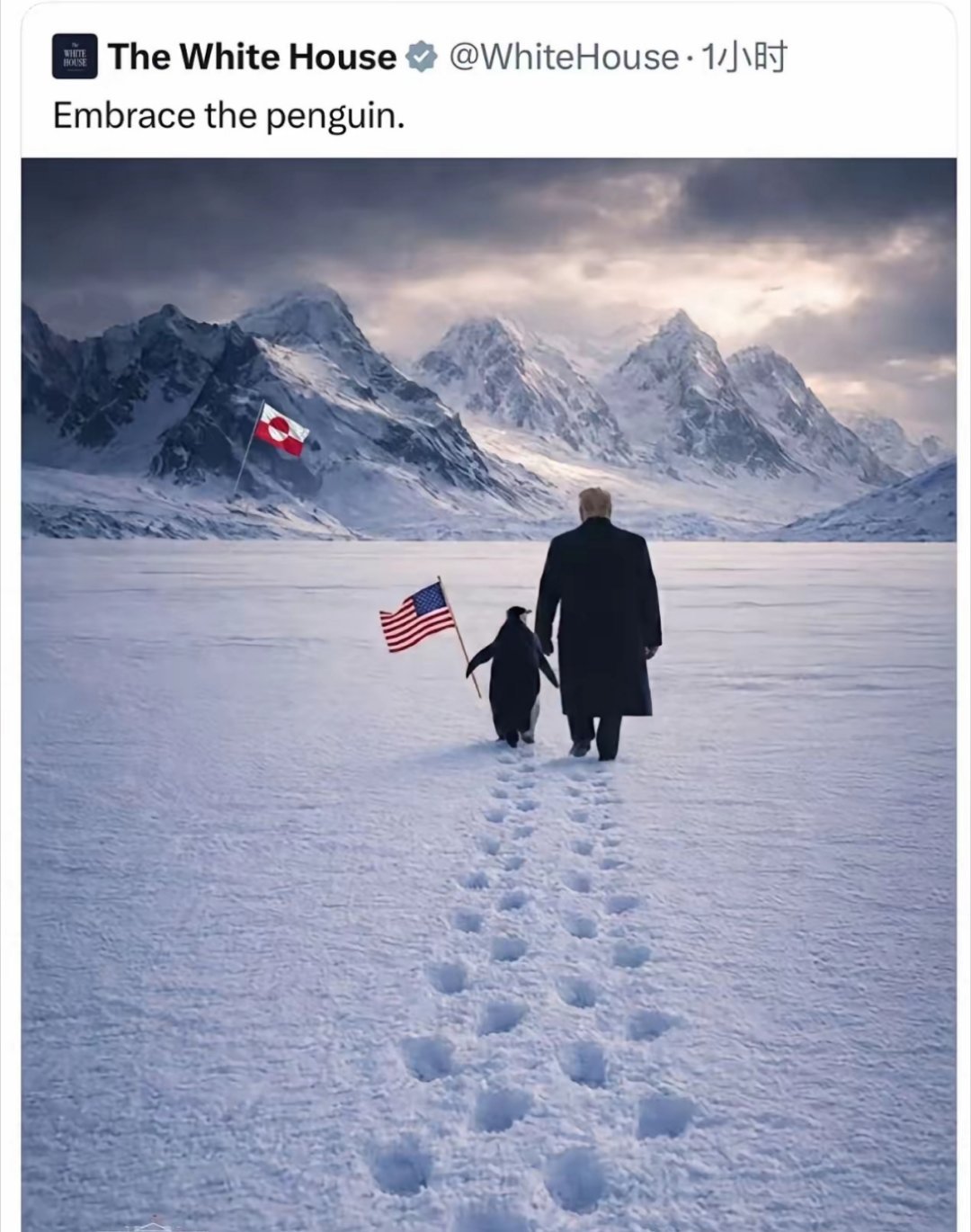 白宫晒特朗普格陵兰牵企鹅照翻车特朗普格陵兰岛企鹅乌龙 白宫P图师地理考试必挂科系