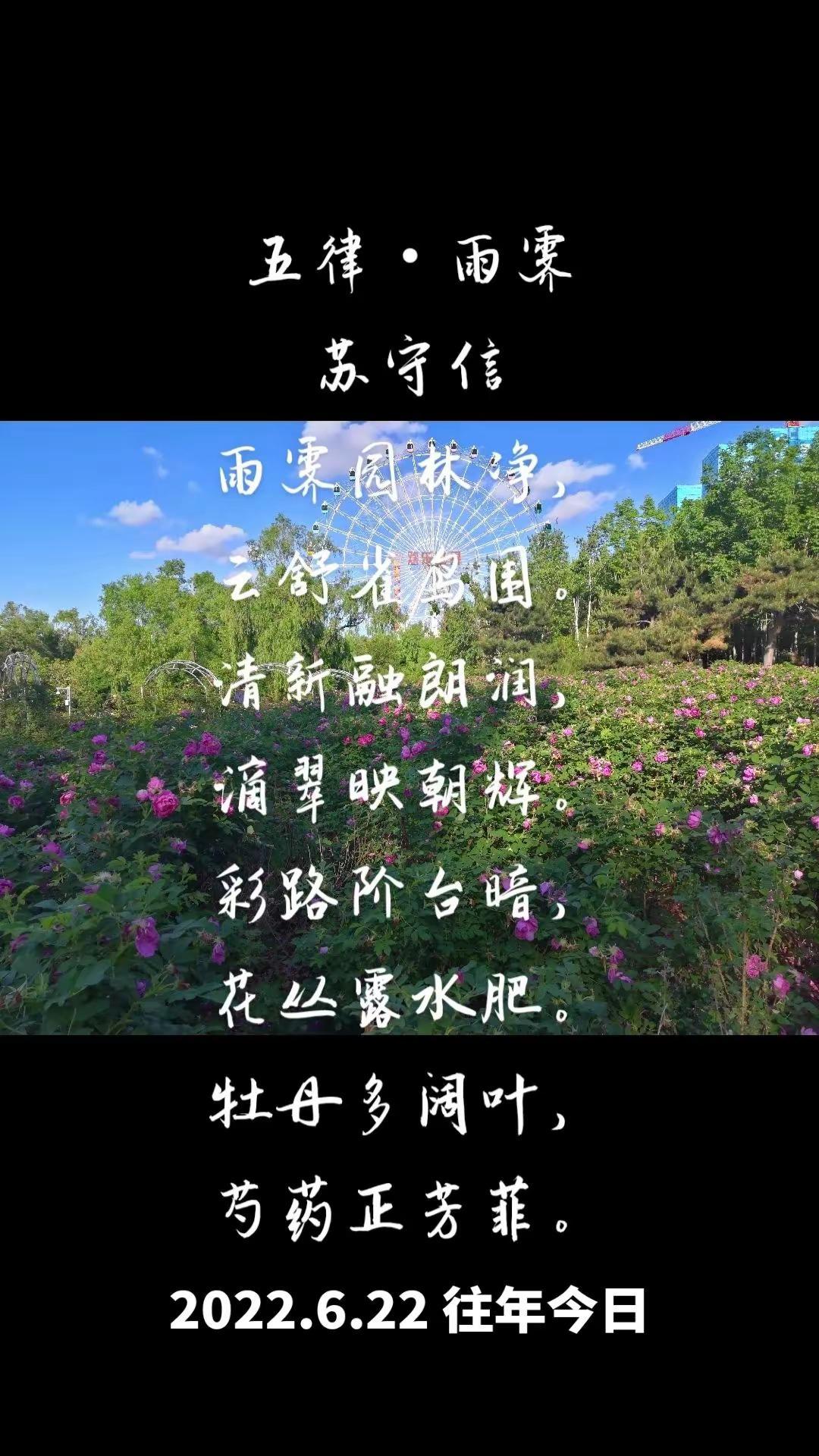 五律·雨霁/苏守信往年原创作品。