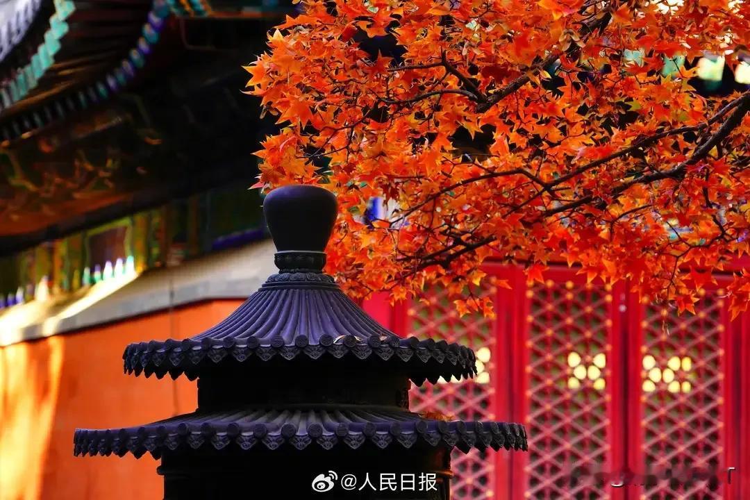 昨天晚上跟老妈打电话，老妈向我诉苦:“如今你爸工资全给了你姐，我们手里一点钱都没