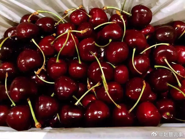 在进博会尝到冬天第一口臻选智利车厘子  大概是攒了一整年的期待，在舌尖触到果肉的