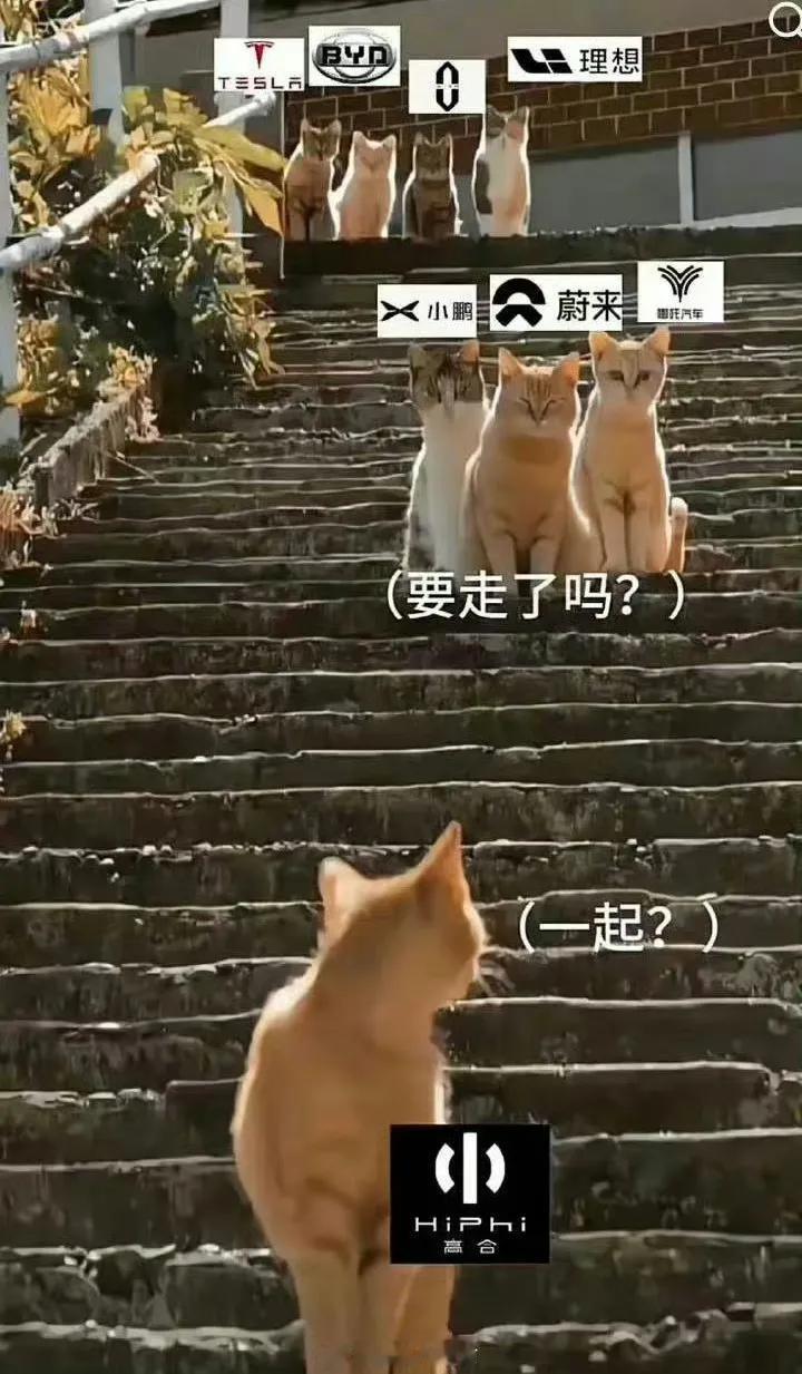 不至于