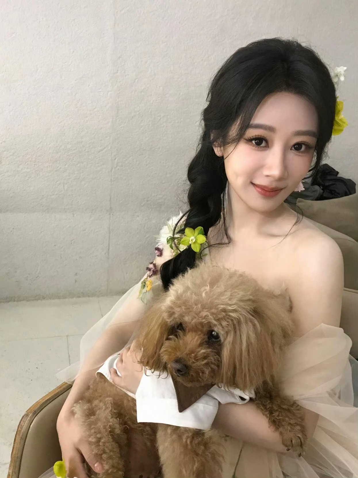 杨紫青簪行也找过谢霆锋 真瓜在这里：今晚八点有杨紫直播还有精彩的《家业》李祯大战