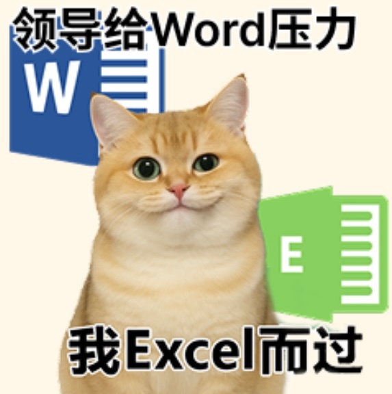 给我Word压力我，我Exel而过 