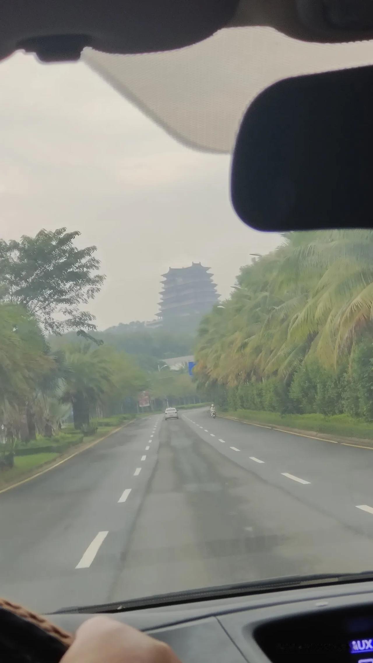 今天终于爬了儋阳楼，差不多刚好八点钟到儋阳楼的山脚下，深秋的儋阳楼鲜花照样盛开，