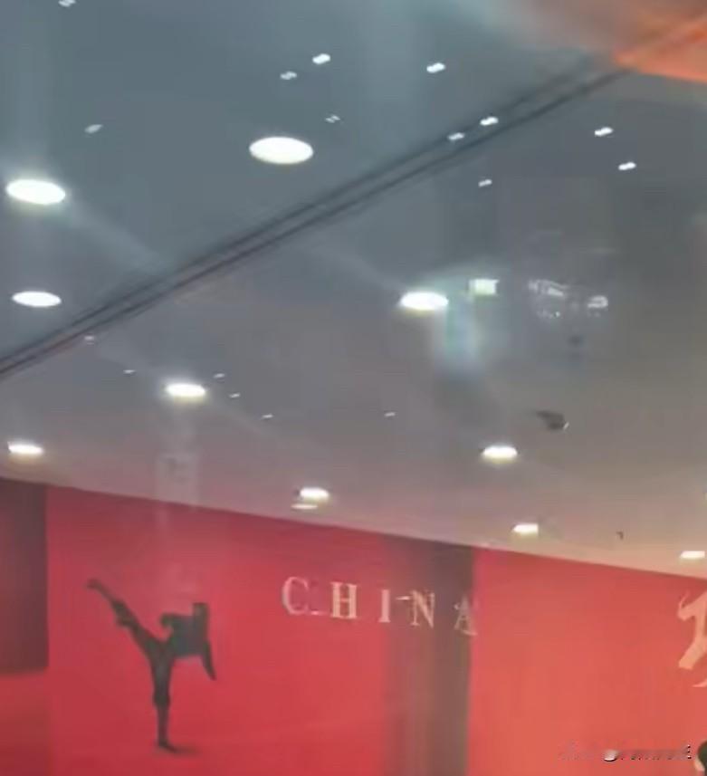 小闺女被学校门口练武功的宣传单吸引，闹着要去体验一下。

我留了信息，今天就接到