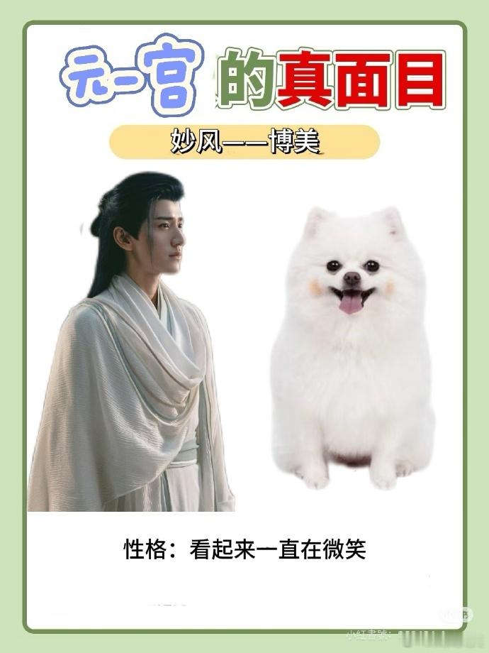 #元一宫到底是反派还是狗窝# 还得是当代网友最会形容了，竟然还说元一宫是一个大型