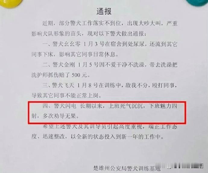 笑死了，警犬也被通报批评了！
这些理由一个比一个搞笑！
你有没有觉得那个闪电和动